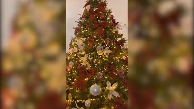 Caso tamponi Immobile si distrae facendo l albero di Natale